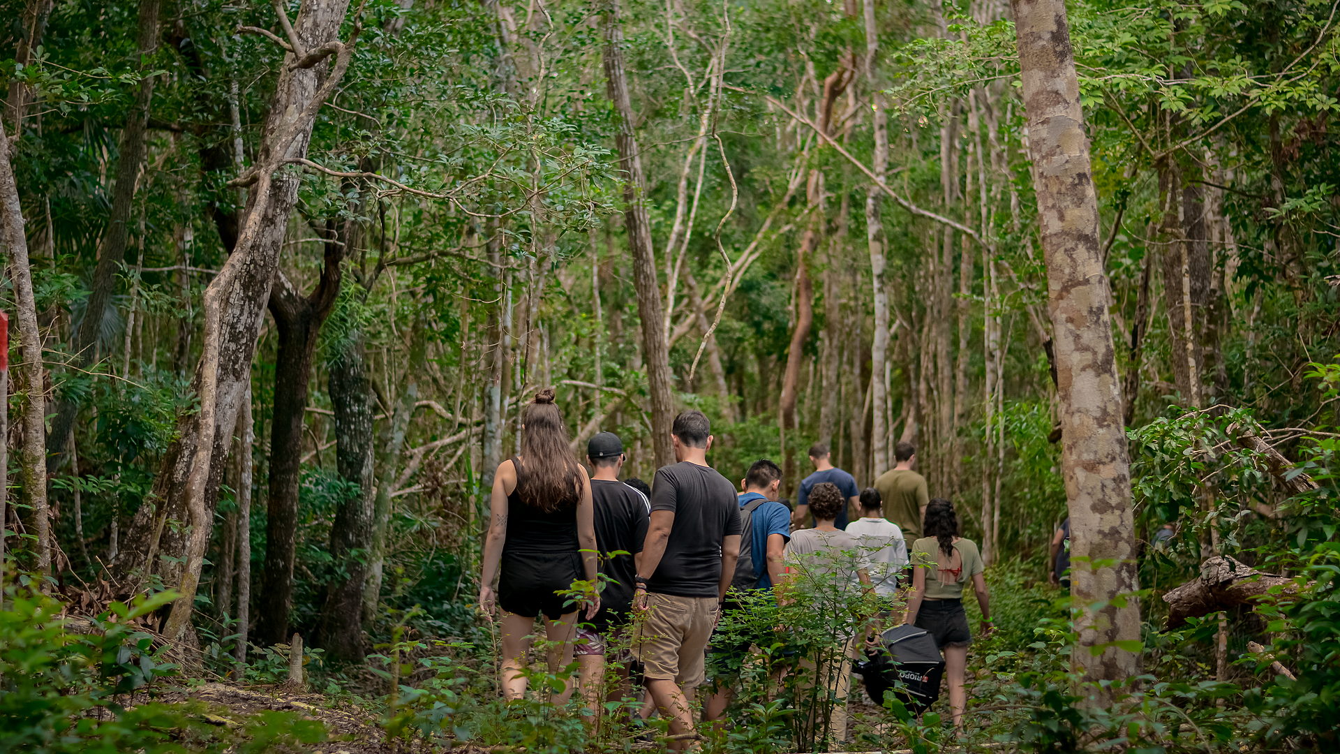 Grupo caminando por un sendero de la selva de Xieltun