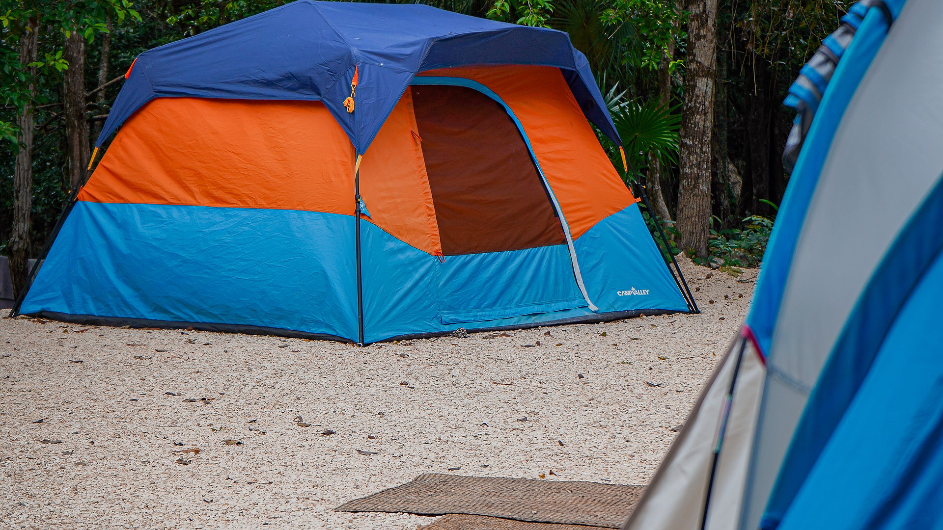 Casas de campaña montadas en el área de campamento, bajo el dosel de la selva